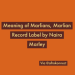 Meaning of Marlians, Marlian Record Label by Naira Marley – Full Info Meaning of Marlians
