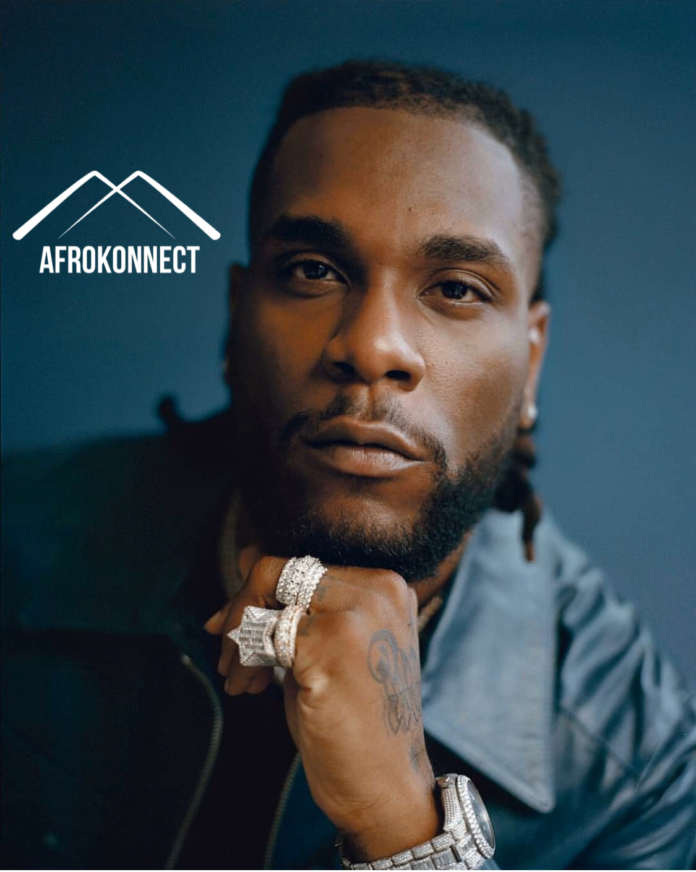 Burna boy Net Worth, Biography and Everything you need to know about the singer