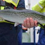 Fish Farming Business in Nigeria (You Need to Know this) Fish Farming Business in Nigeria