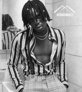 FireBoy Dml Net Worth and Biography