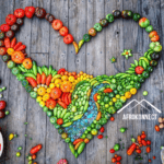 How To Start A Tomato Farming Business – 10 Easy Steps How to start a Tomato Farming Business