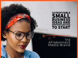 18 Profitable Small business Ideas in South Africa 2025 18 Profitable Small business ideas and Opportunities to start in South Africa
