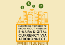 Everything you need to know about Nigerian Digital Currency eNAIRA Nigerian Digital Currency eNAIRA (E-Naira)