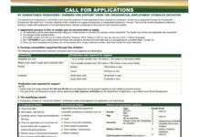 PESI Grants Program Application for South Africans 2025 PESI Grants