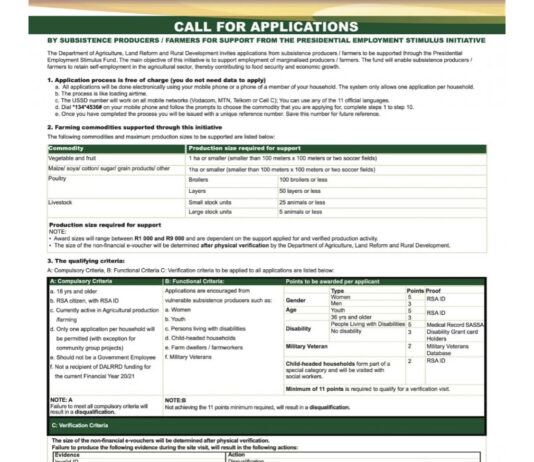 PESI Grants Program Application for South Africans 2025 PESI Grants