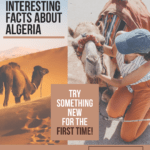 Top 10 Most interesting fun facts about Algeria Top 10 Most interesting fun facts about Algeri