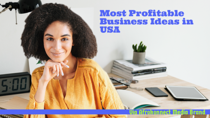 17 Business Ideas in USA with Low Investment and Online Business ideas