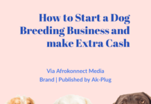 How to Start a Dog Breeding Business and Make Extra Cash How to Start a Dog Breeding Business and Make Extra Cash