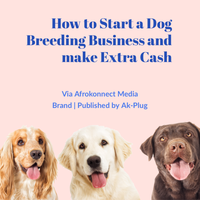 How to Start a Dog Breeding Business and Make Extra Cash