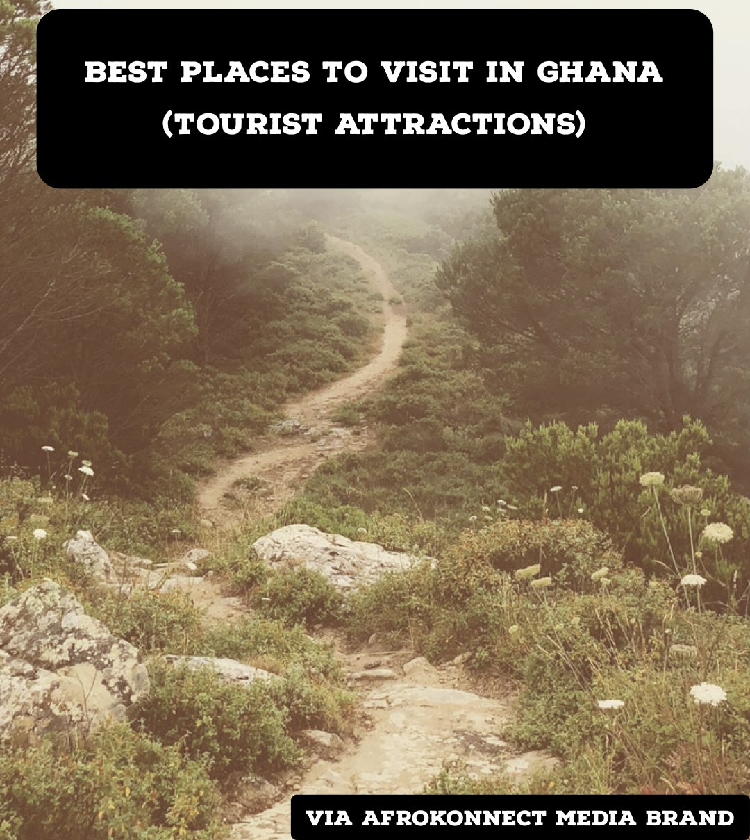 ghana tourist board website