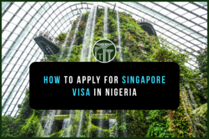 How to Apply for Singapore Tourist, Visit or Business Visa in Nigeria