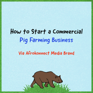 How to start a Commercial Pig Farming Business