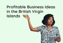 Profitable Business Ideas in British Virgin Islands Profitable Business Ideas in British Virgin Islands 2022