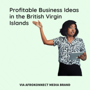 Profitable Business Ideas in British Virgin Islands 2022