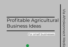 Top 8 Profitable Agricultural Business Ideas in 2025 8 Profitable Agricultural Business Ideas in Nigeria, Ghana & South Africa