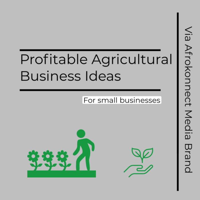 8 Profitable Agricultural Business Ideas in Nigeria, Ghana & South Africa
