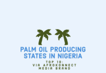 Palm Oil Producing States in Nigeria: Top 10 Largest Largest palm oil producing states in Nigeria