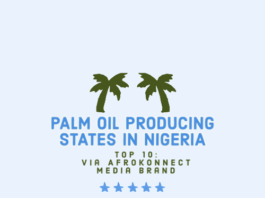 Palm Oil Producing States in Nigeria: Top 10 Largest Largest palm oil producing states in Nigeria