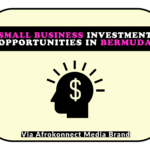 5 Business Ideas in Bermuda and Investment Opportunities Profitable Business Ideas and Lucrative Investment Opportunities in Bermuda