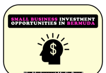 5 Business Ideas in Bermuda and Investment Opportunities Profitable Business Ideas and Lucrative Investment Opportunities in Bermuda