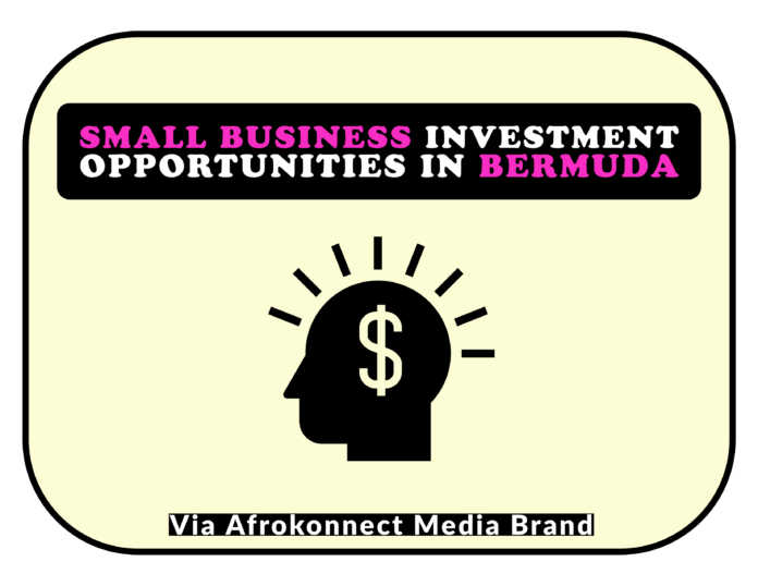 Profitable Business Ideas and Lucrative Investment Opportunities in Bermuda