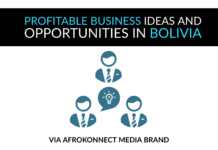 Profitable Business Ideas In Bolivia & Opportunities Profitable Business Opportunities & Lucrative Ideas In Bolivia