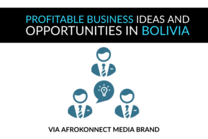 Profitable Business Opportunities & Lucrative Ideas In Bolivia