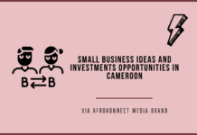 7 Lucrative Small Business Ideas in Cameroon Profitable Small Business Ideas and Investment Opportunities In Cameroon