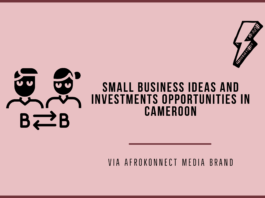 7 Lucrative Small Business Ideas in Cameroon Profitable Small Business Ideas and Investment Opportunities In Cameroon
