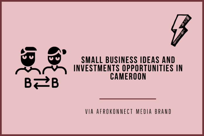 Profitable Small Business Ideas and Investment Opportunities In Cameroon