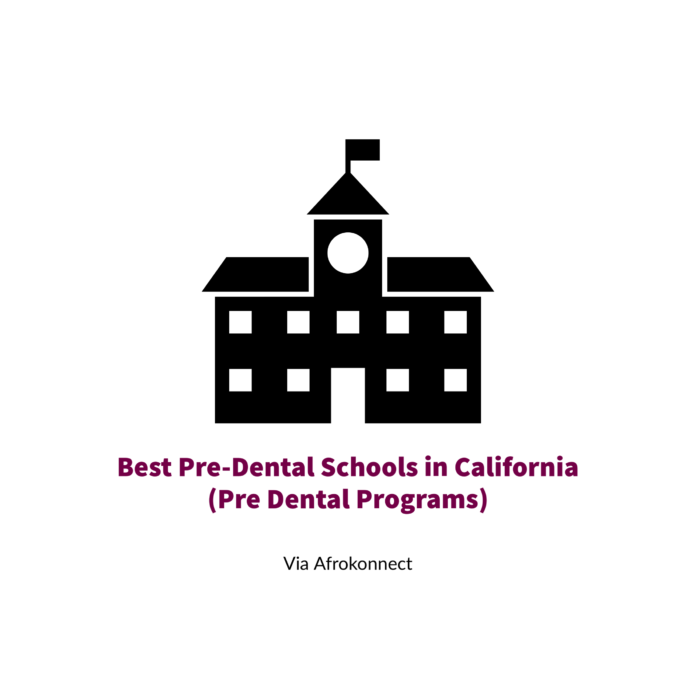 Best Pre-Dental Schools in California (Pre Dental Programs)