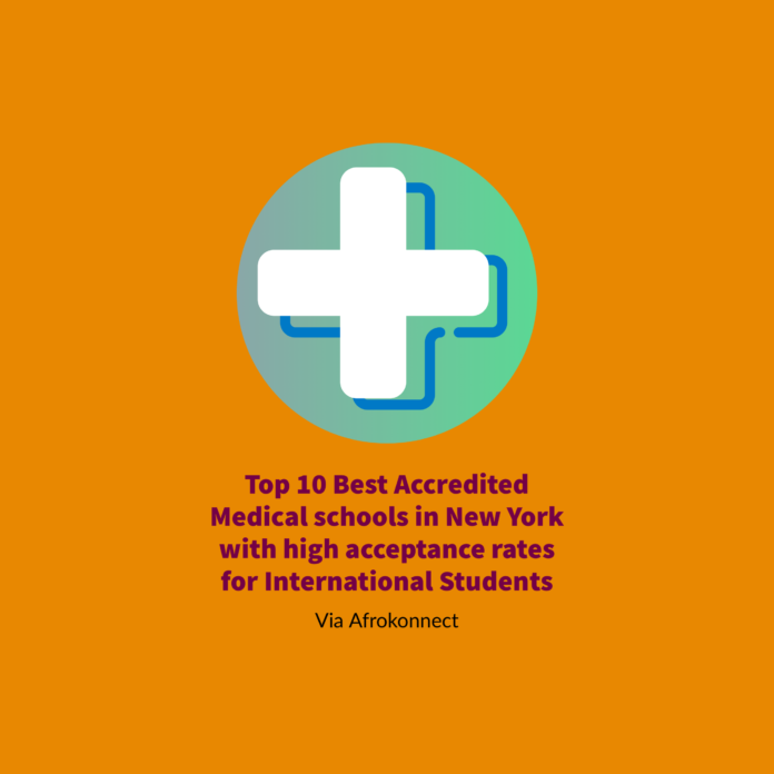 Best Accredited Medical schools in New York with high acceptance rates for International Students