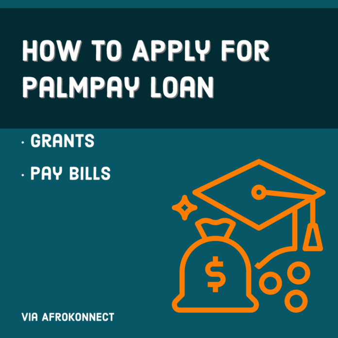 How To Apply For Palmpay Loan in Nigeria & Ghana