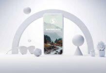 Niche Marketing Ideas for Specialized Businesses