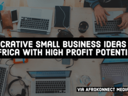 Top 10 Lucrative Small Business Ideas in Africa Lucrative Small Business Ideas in Africa with High Profit Potential