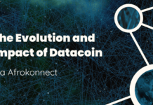 The Evolution and Impact of Datacoin The Evolution and Impact of Datacoin