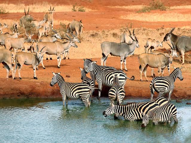 10 Tourist Destinations in Kenya: Places to Visit for Fun