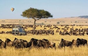 Maasi Mara National Reserve in Kenya 