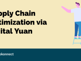 Supply Chain Optimization via Digital Yuan Supply Chain Optimization via Digital Yuan