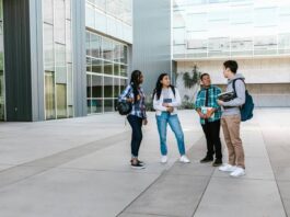 Top 10 fields of study (Best Career Path in Africa)