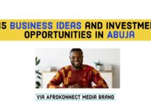 15 Profitable Business Ideas in Abuja and Investment Opportunities 15 Profitable Business Ideas in Abuja and Investment Opportunities