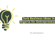 Tech Business Ideas in Nigeria for Entrepreneurs 2025 Tech Business Ideas in Nigeria for Entrepreneurs