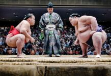 How a glance can intimidate an opponent in sumo How a glance can intimidate an opponent in sumo