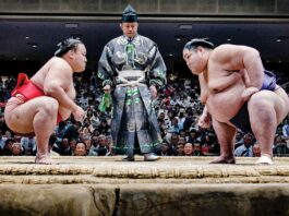 How a glance can intimidate an opponent in sumo How a glance can intimidate an opponent in sumo