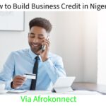 How to Build Business Credit in Nigeria How to Build Business Credit in Nigeria