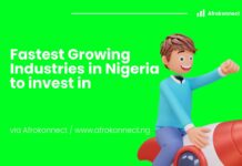 Top 10 Nigerian Startups Making Waves Nigerian Startups Making WavesÂ