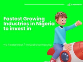Top 10 Nigerian Startups Making Waves Nigerian Startups Making Waves