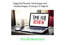 PiggyVest Review 2026: Advantages and Disadvantages of Using It in Nigeria PiggyVest Review
