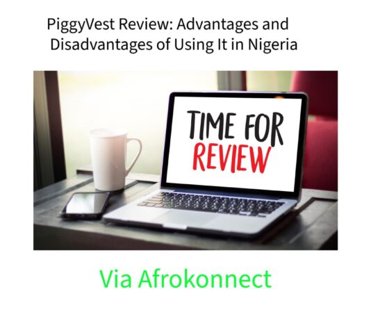 PiggyVest Review 2026: Advantages and Disadvantages of Using It in Nigeria PiggyVest Review