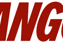 Alternative Investments In Africa: How To Earn From Transport And Car Sharing Alternative Investments In Africa: How To Earn From Transport And Car Sharing